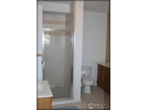 321 Grant Ave, Firestone, CO 80520 photo 21