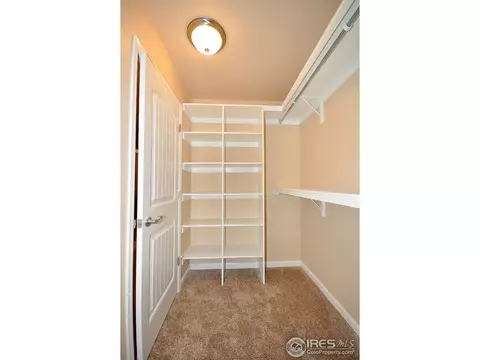 520 Wind River Dr, Windsor, CO 80550 photo 14