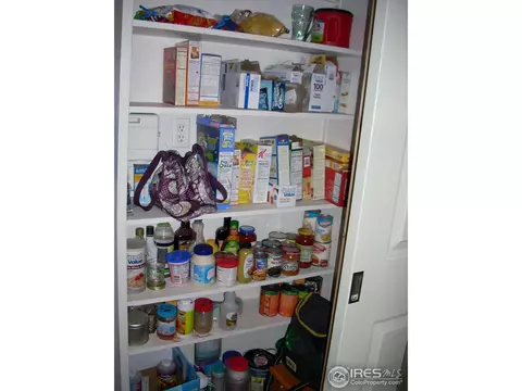 1039 7th St, Berthoud, CO 80513 photo 8