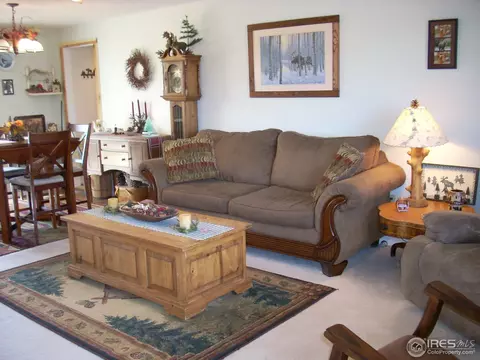 1039 7th St, Berthoud, CO 80513 photo 3