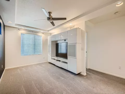 4983 Cathay Ct, Denver, CO 80249 photo 23