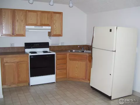 125 Ash St, Windsor, CO 80550 photo 5