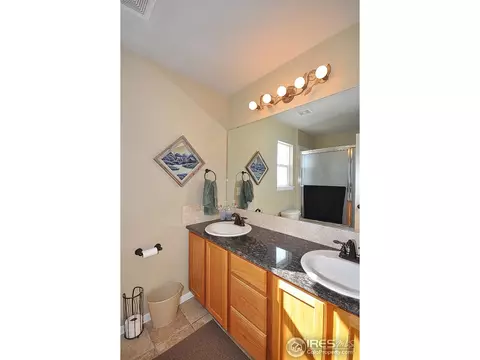 652 Foxtail Way, Severance, CO 80550 photo 19