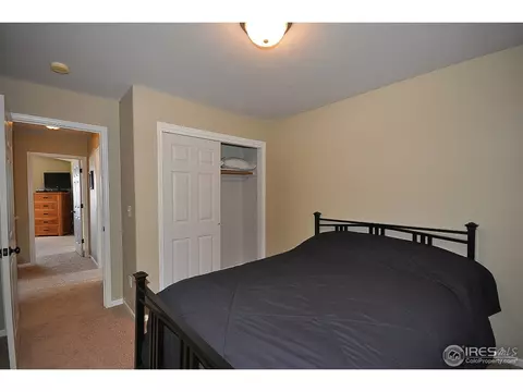 652 Foxtail Way, Severance, CO 80550 photo 21
