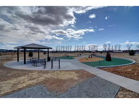 1063 Fairfield Ave, Windsor, CO 80550 photo 25