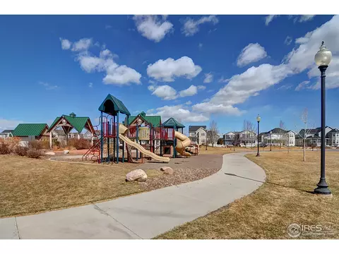 1063 Fairfield Ave, Windsor, CO 80550 photo 24