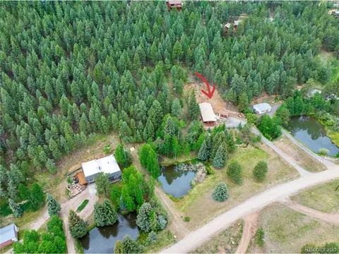 312 Brookside Dr, Bailey, CO 80421 photo 5