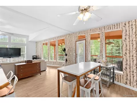 312 Brookside Dr, Bailey, CO 80421 photo 20