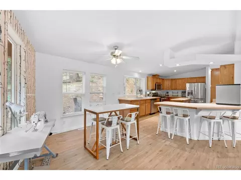 312 Brookside Dr, Bailey, CO 80421 photo 19