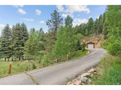 312 Brookside Dr, Bailey, CO 80421 photo 38