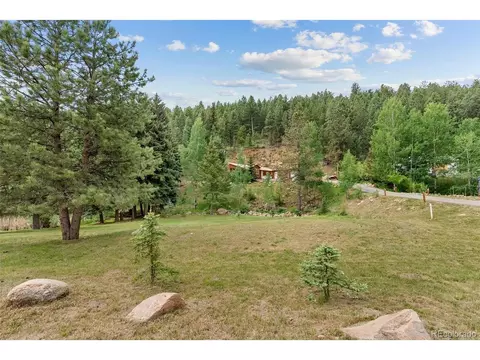 312 Brookside Dr, Bailey, CO 80421 photo 4