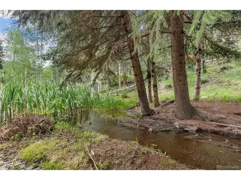 312 Brookside Dr, Bailey, CO 80421 photo 37