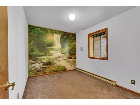 Bedroom - 10197 Horizon View Dr, Morrison, CO 80465 photo 6 of 6