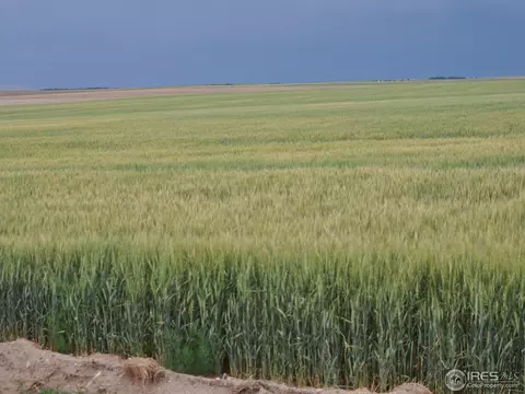 1083 County Road 71, Fleming, CO 80728 photo 15
