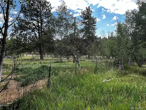 28 Wolf Rd, Bailey, CO 80421 photo 19