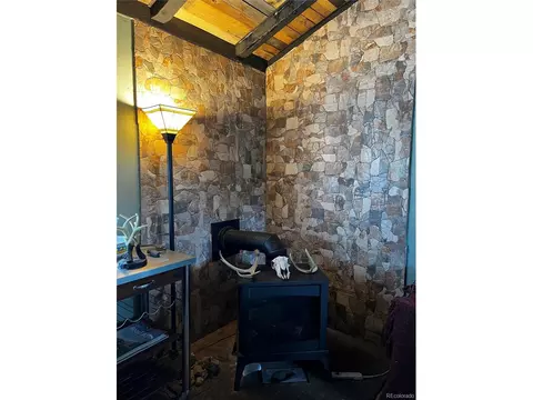 28 Wolf Rd, Bailey, CO 80421 photo 10