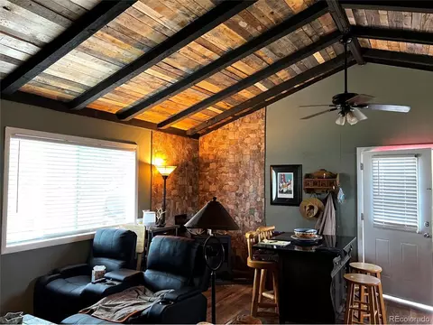 28 Wolf Rd, Bailey, CO 80421 photo 9