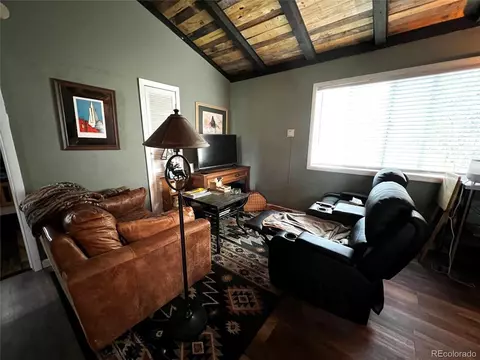 28 Wolf Rd, Bailey, CO 80421 photo 8