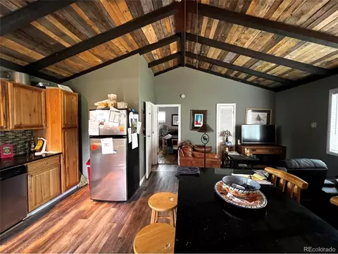 28 Wolf Rd, Bailey, CO 80421 photo 7