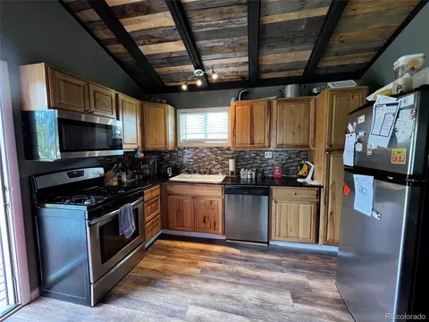 28 Wolf Rd, Bailey, CO 80421 photo 5