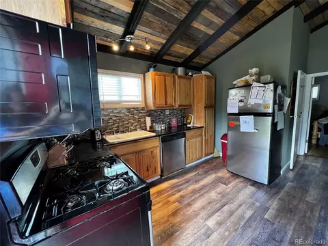 28 Wolf Rd, Bailey, CO 80421 photo 4