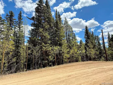 324 Bauxite Ln, Fairplay, CO 80440