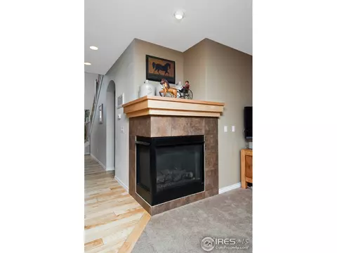 211 Mcconnell Ct, Lyons, CO 80540 photo 9