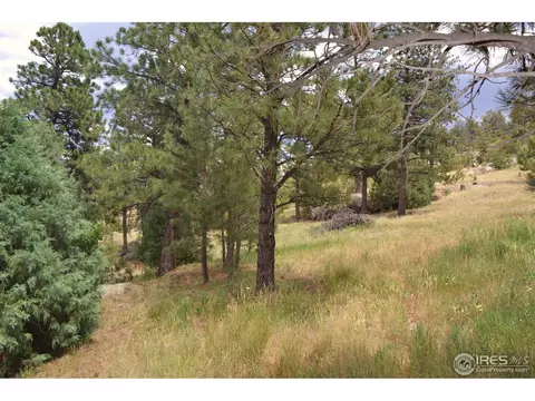 53 Navajo Ct, Lyons, CO 80540 photo 5