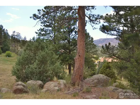 53 Navajo Ct, Lyons, CO 80540 photo 9