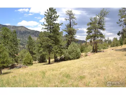 53 Navajo Ct, Lyons, CO 80540 photo 3