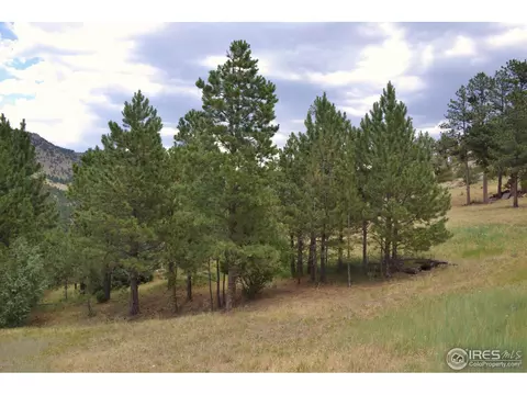 53 Navajo Ct, Lyons, CO 80540 photo 8