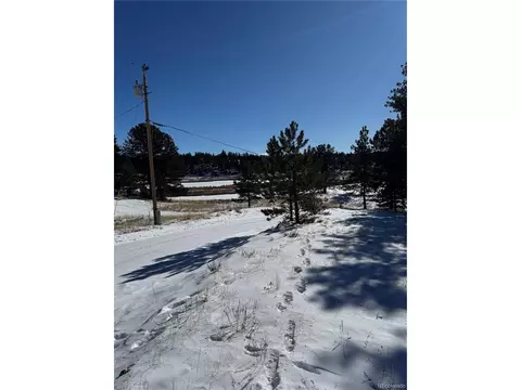 965 Midland Ct, Lake George, CO 80827