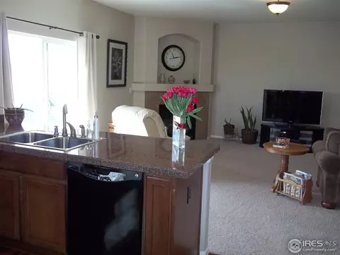 1563 Edenbridge Dr, Windsor, CO 80550 photo 22