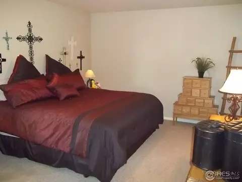 1563 Edenbridge Dr, Windsor, CO 80550 photo 14