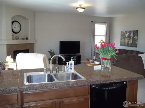 1563 Edenbridge Dr, Windsor, CO 80550 photo 23