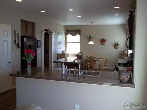 1563 Edenbridge Dr, Windsor, CO 80550 photo 6