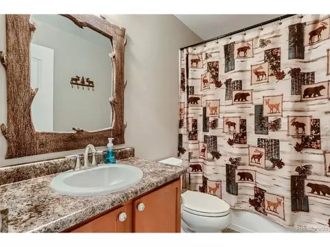 8216 Raspberry Dr, Frederick, CO 80504 photo 16