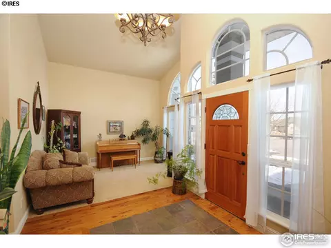 305 Teal Ct, Windsor, CO 80550 photo 10