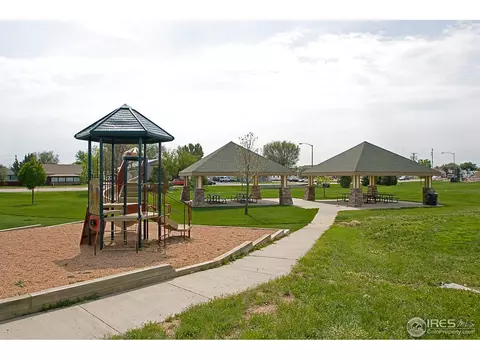 809 Bluegrass Way, Windsor, CO 80550 photo 25