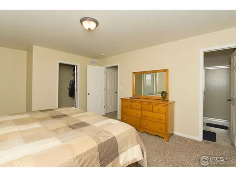 809 Bluegrass Way, Windsor, CO 80550 photo 13