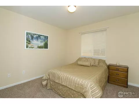809 Bluegrass Way, Windsor, CO 80550 photo 10
