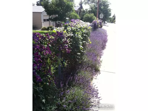 1390 Lehigh St, Boulder, CO 80305 photo 23
