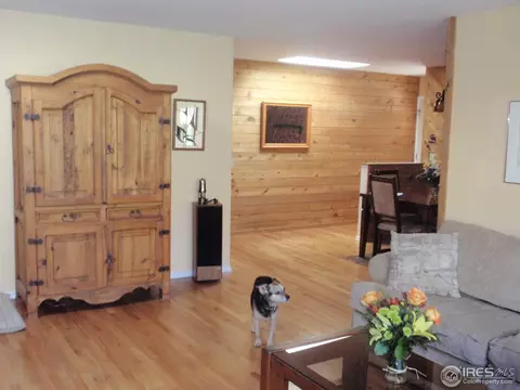 1295 Linden Ave, Boulder, CO 80304 photo 6