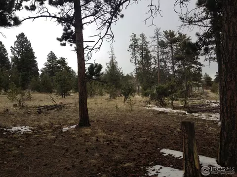 13303 Piute Dr, Pine, CO 80470 photo 1