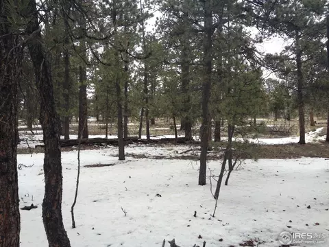 13303 Piute Dr, Pine, CO 80470 photo 4