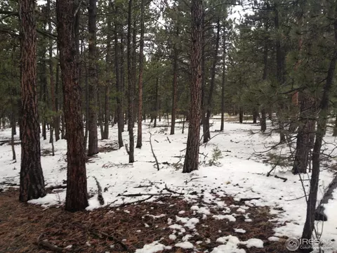 13303 Piute Dr, Pine, CO 80470 photo 3