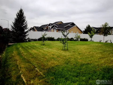 101 Cobble Ct, Windsor, CO 80550 photo 18