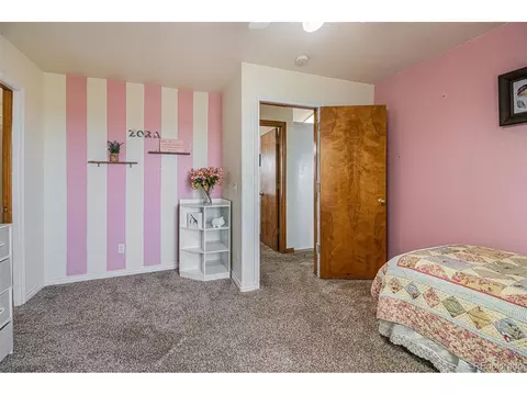 1295 Viewridge Rd, Bennett, CO 80102 photo 22