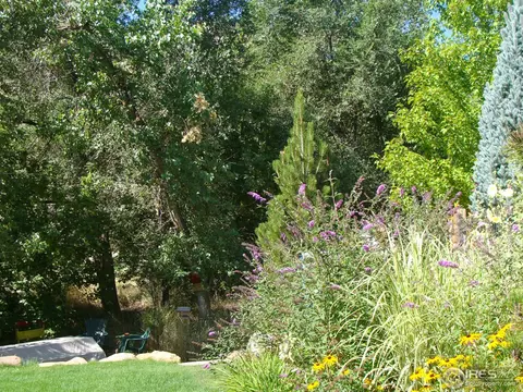 3755 Spring Valley Rd, Boulder, CO 80304 photo 6