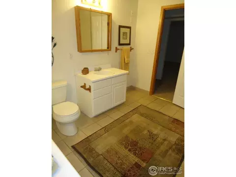907 Ridge Ct, Windsor, CO 80550 photo 14